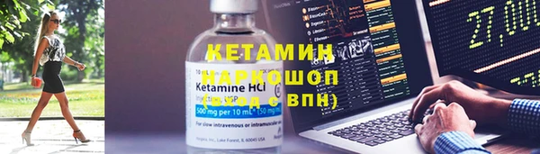 прущие грибы Болохово