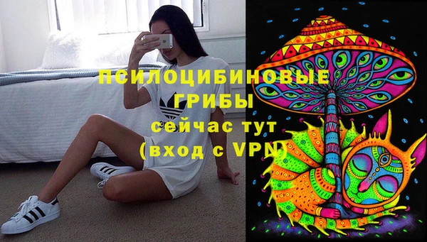 прущий лед Абаза