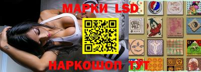 молекула духа Заводоуковск